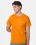 Safety Orange