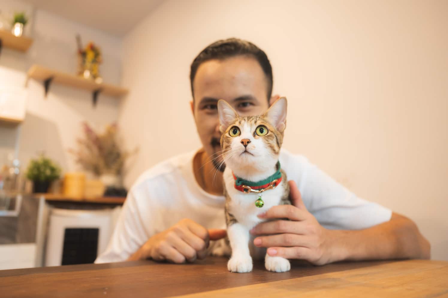 Amir Khulad