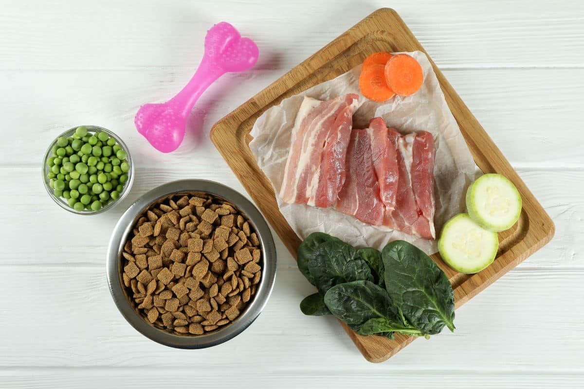 concept of organic pet food on wooden background BWQY8UF